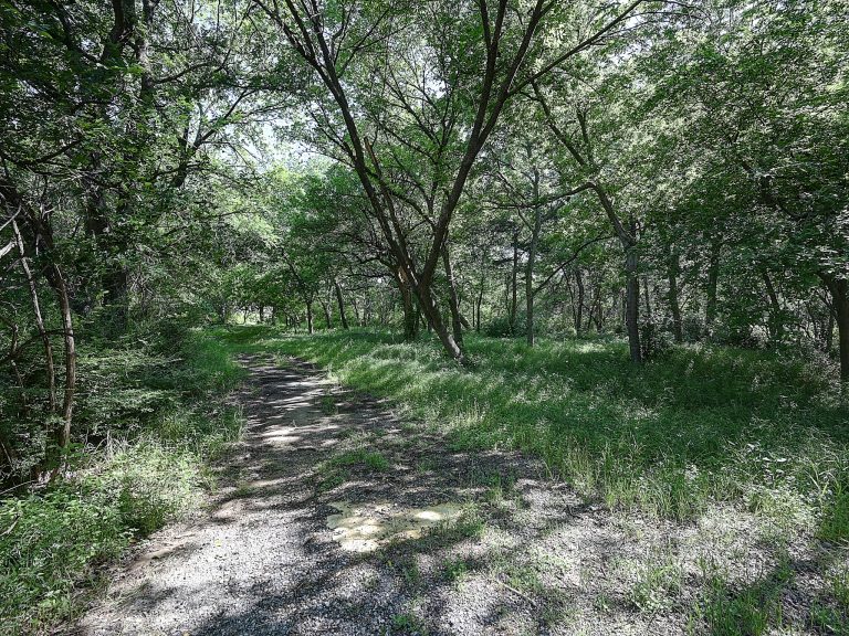 1500 North Edgefield Dallas Texas 75208